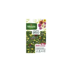 Graines de mélange de fleurs résistant à la sécheresse Vilmorin - graines à semer
