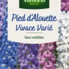 Graines de Pied d’Alouette vivace varié Vilmorin - graines à semer