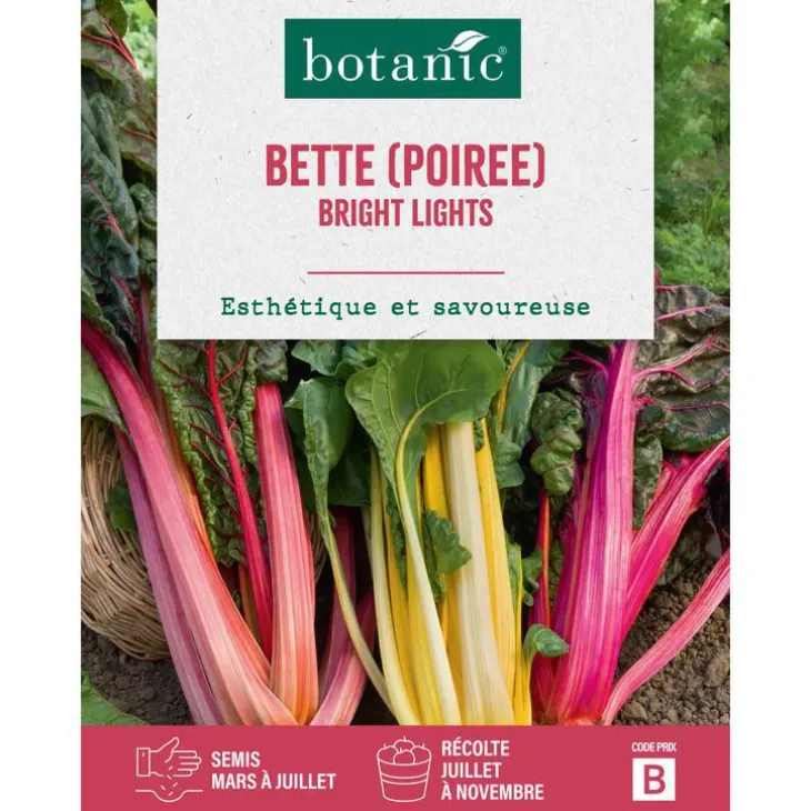 Graines de poirée bright light insolite botanic® - graines à semer