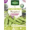 Graines de pois géant à fleur violette mangetout Vilmorin - graines à semer