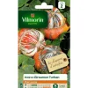 Graines de potiron Giraumon Turban Vilmorin - graines à semer