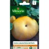 Graines de potiron jaune gros de Paris Vilmorin - graines à semer