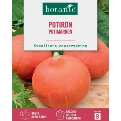 Graines de potiron potimarron botanic® - graines à semer