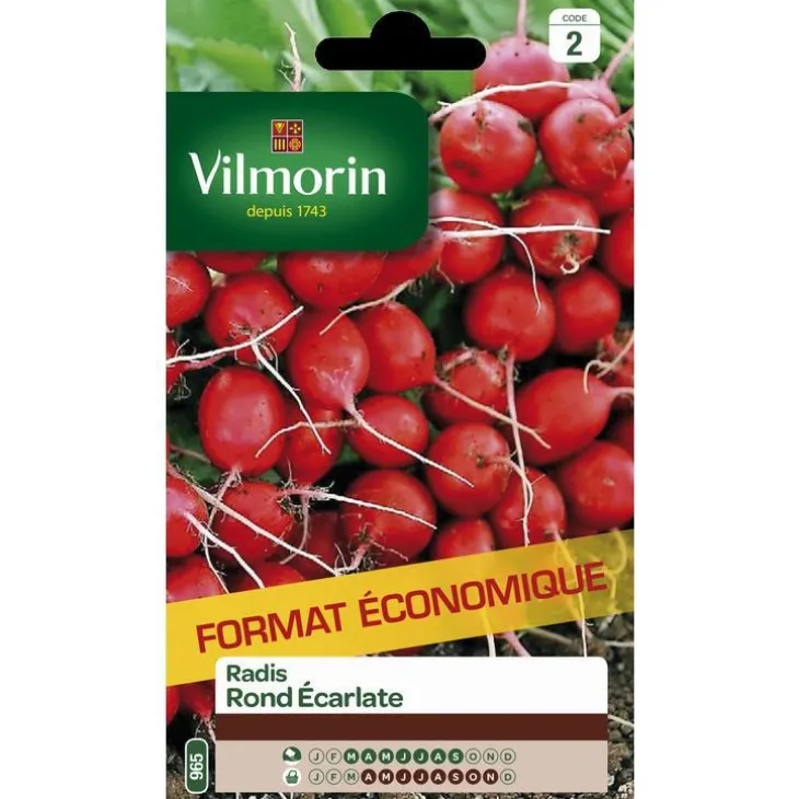 Graines de radis écarlate Vilmorin - graines à semer