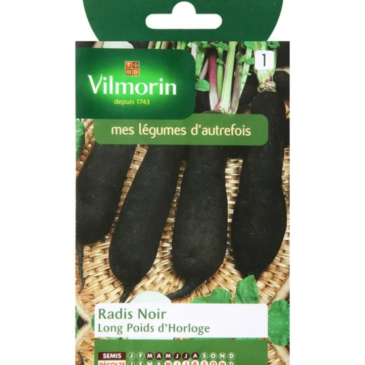 Graines de radis noir long poids horloge Vilmorin - graines à semer
