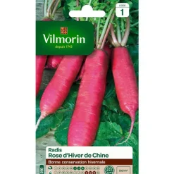 Graines de radis rose d'hiver de Chine Vilmorin - graines à semer