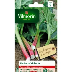 Graines de rhubarbe Victoria Vilmorin - graines à semer