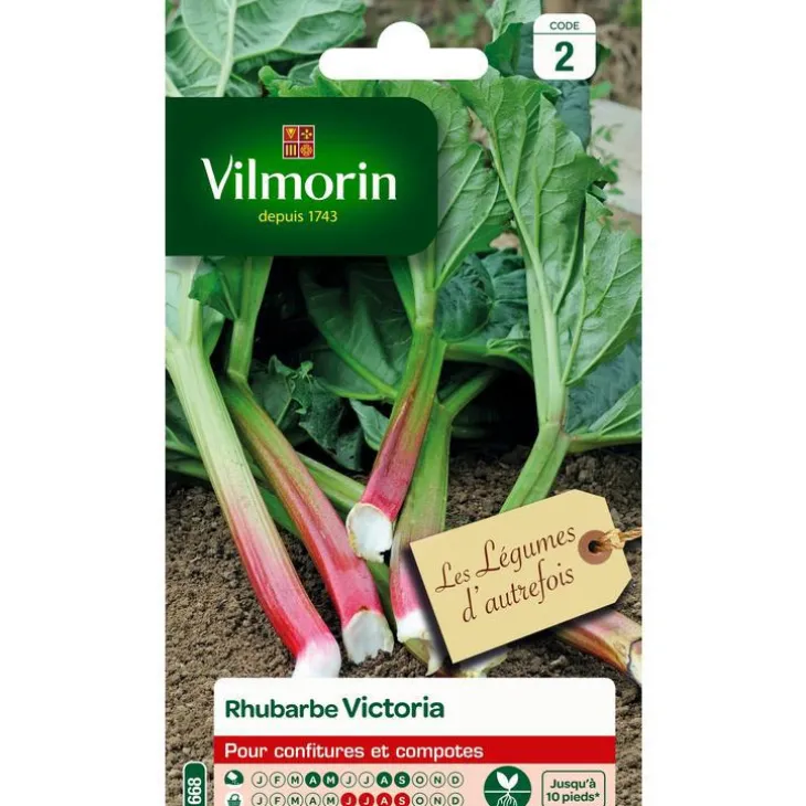 Graines de rhubarbe Victoria Vilmorin - graines à semer