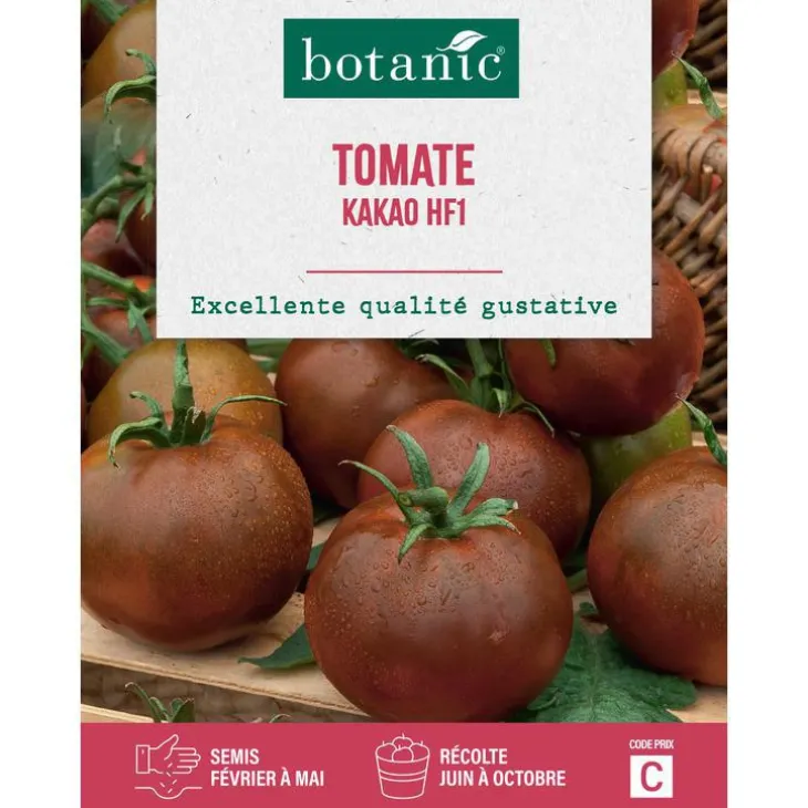 Graines de tomate kakao HF1 botanic® - graines à semer