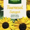 Graines de Tournesol Sunspot Vilmorin - graines à semer