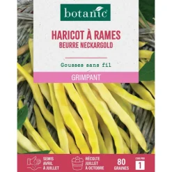 Graines d'haricot à rames beurre neckargold botanic® - graines à semer