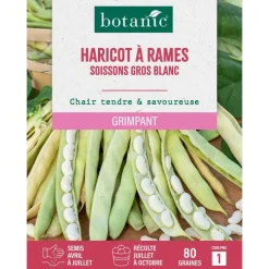 Graines d'haricot à rames soissons gros blanc botanic® - 80 graines à semer