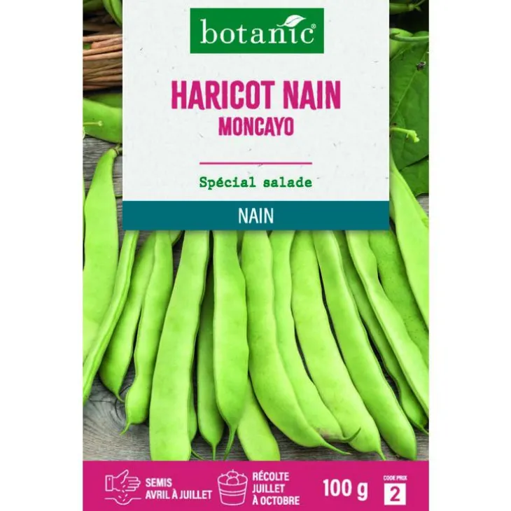Graines d'haricot nain moncayo botanic® - graines à semer 100 g