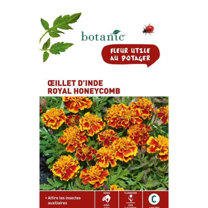 Graines d'œillet d'Inde royal honeycomb botanic® - graines à semer