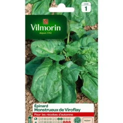 Graines d'épinard monstrueux de Viroflay Vilmorin - graines à semer