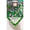 Graines présemées de Ciboulette commune bio Ernest Turc - 3 ronds de 10 cm