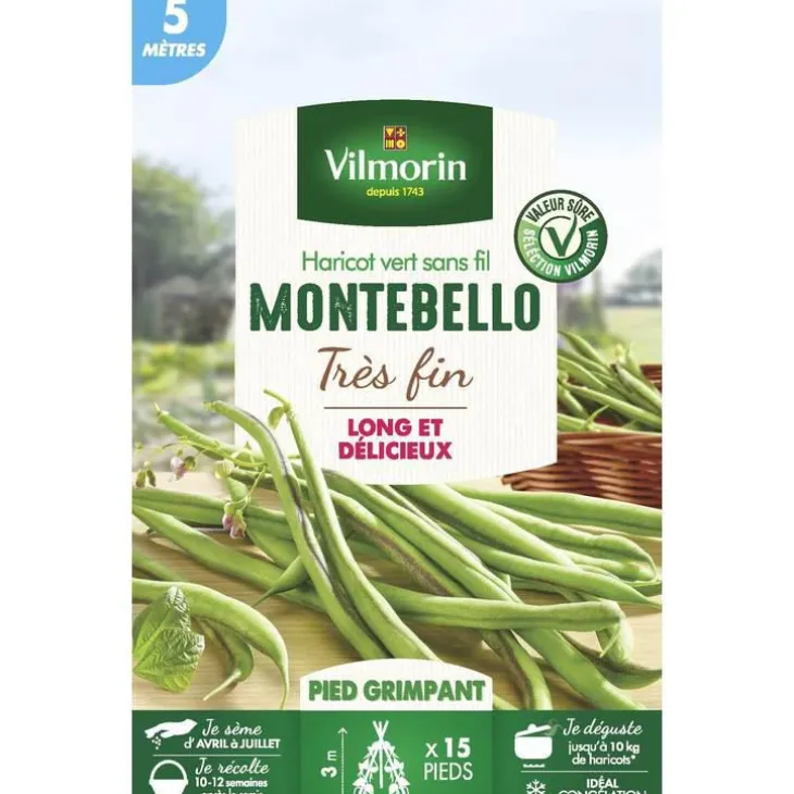 Grains de haricot nain Montebello Vilmorin - graines à semer