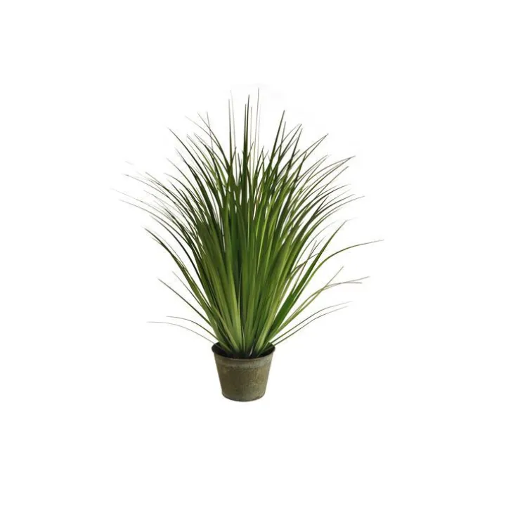 Graminée pot zinc 80 cm