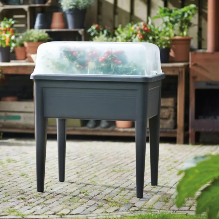 Green Basics serre de culture XXL