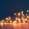 Guirlande lumineuse à 100 LED ambre style vintage sur câble vert - 8 m