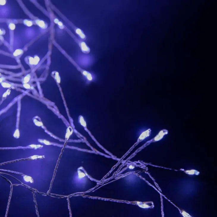 Guirlande lumineuse 800 LED à lumière bleue sur secteur - 9 m