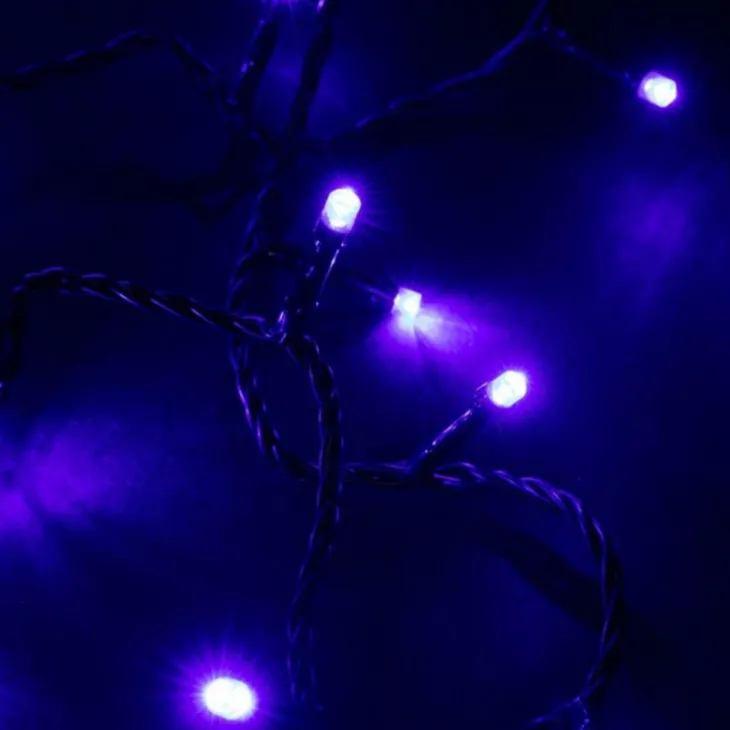 Guirlande lumineuse LED à lumière animée bleu sur secteur - 8 m