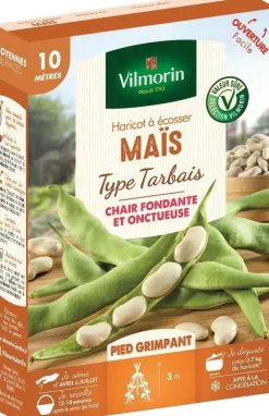 Haricot à écosser Maïs Type Tarbais Vilmorin - graines à semer