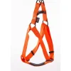 Harnais baudrier réglable orange pour chien - 2,5x70/90 cm