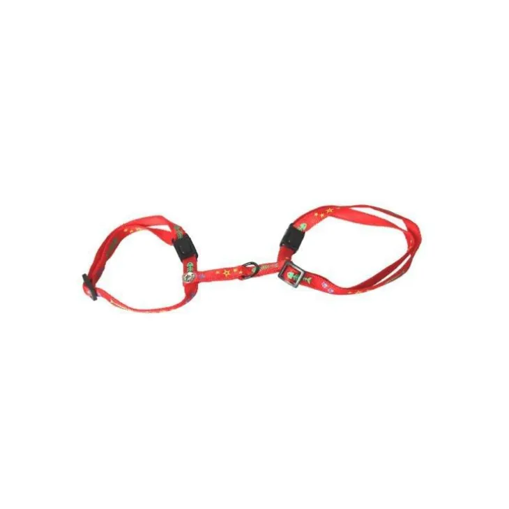 Harnais chat 35/50cm motif 10mm