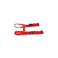 Harnais chat 25/35cm motif 10mm