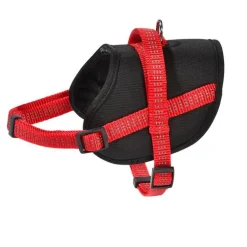 Harnais easy safe rouge taille XS