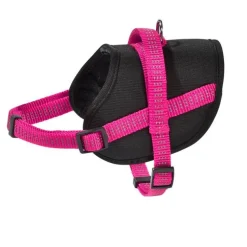 Harnais Easy Safe XS fuchsia