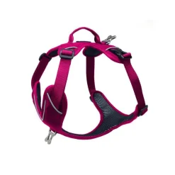 Harnais Momentum Taille 1 Circonférence cage thoracique 33-44cm Rose