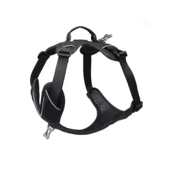 Harnais Momentum Taille 1 Circonférence cage thoracique 33-44cm Noir