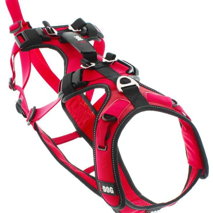 Harnais pour chien coloris rouge I-Dog Confort Trek - Taille L
