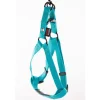Harnais réglable baudrier turquoise 20-50/70 cm