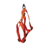 Harnais réglable Orange 35/50cm Martin Sellier