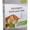 Herbe à chat Bubimex