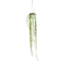 Hoya Linearis suspension Ø12xH80 cm