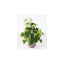 Hydrocolite vert en plastique 19 cm