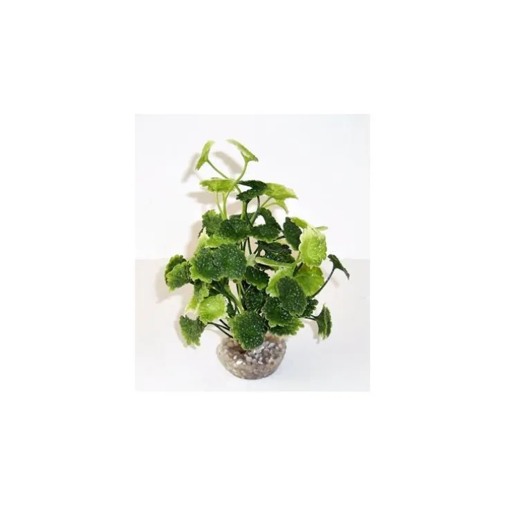 Hydrocolite vert en plastique 19 cm
