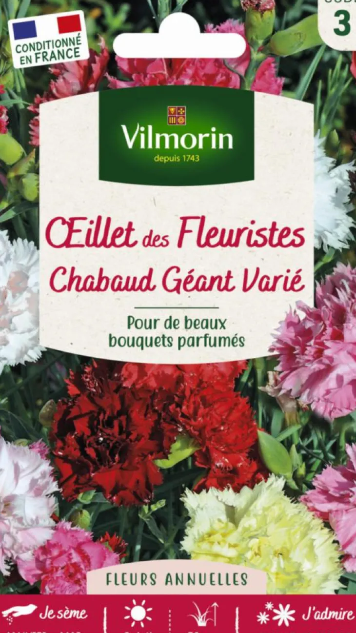 Œillets des fleuristes Chabaud Géant Varié Vilmorin - graines à semer