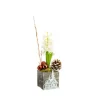 Jacinthe en pot bois décor zinc