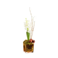 Jacinthe en verrerie bronze