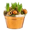 Jacinthe x 5 coupe cuivre - Ø 15 cm