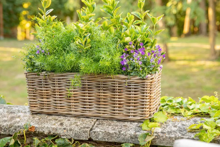 Jardinière panier rectangulaire en osier gris Marcia grand modèle - 58 x 26 x 20 cm