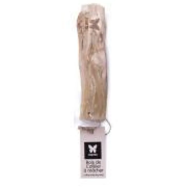 Jouet à mâcher pour chien en bois de caféier 100 % naturel Martin Sellier - Taille XL