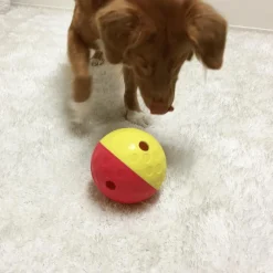 Jouet pour chien coloris rouge balle à friandises – Taille L