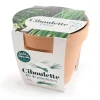 Kit de semence potager pot terre cuite antique ciboulette bio Radis & Capucine