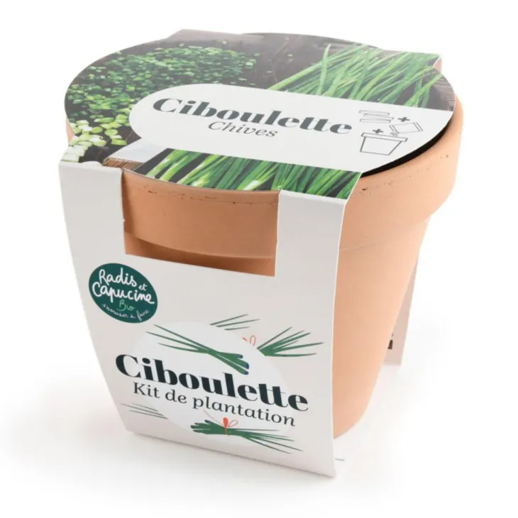 Kit de semence potager pot terre cuite antique ciboulette bio Radis & Capucine